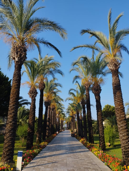 Gartenanlage TUI BLUE Palm Garden