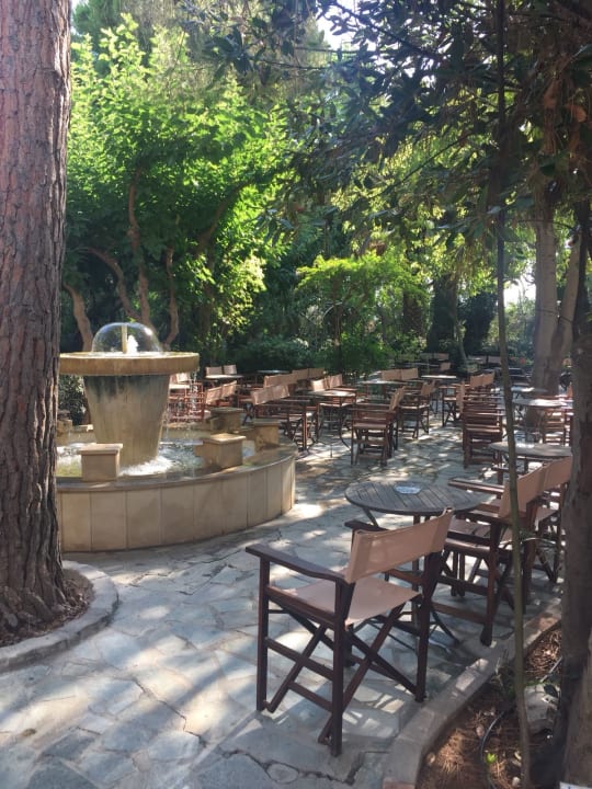 Gartenanlage Apollonia Beach Resort & Spa