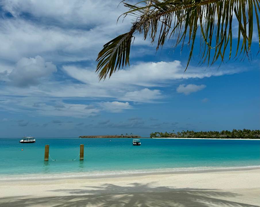 Strand ananea Madivaru Maldives