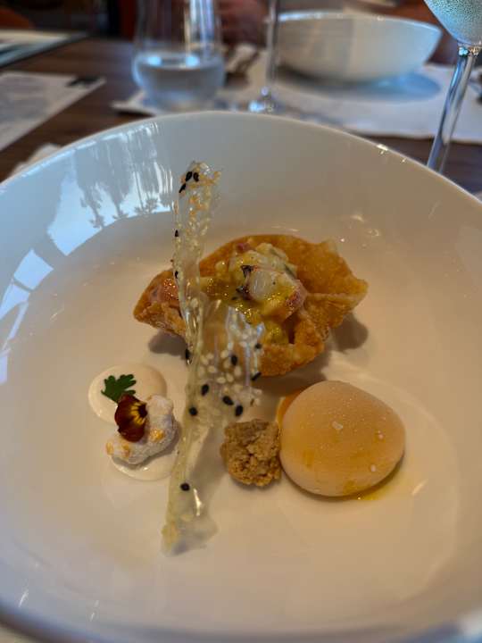 Gastro Paloma Finesse