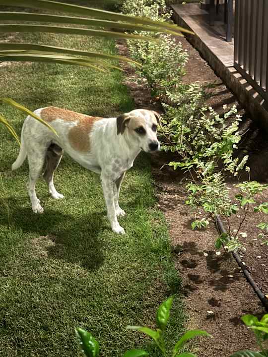 Sonstiges Hotel Riu Palace Santa Maria