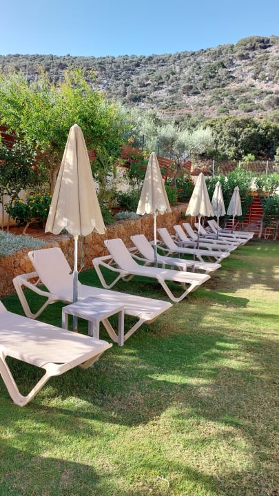 Pool Hotel Cactus Village