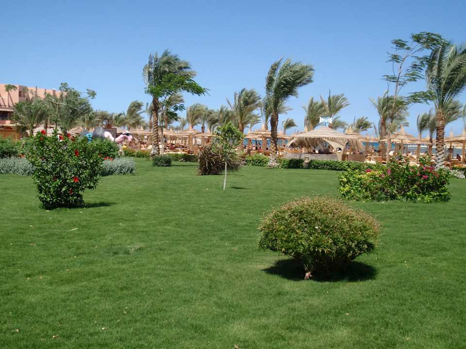 Garten Pickalbatros Palace Resort