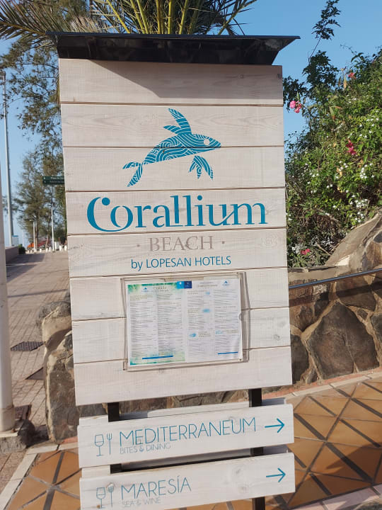 Sonstiges Corallium Beach by Lopesan Hotels - Adults only