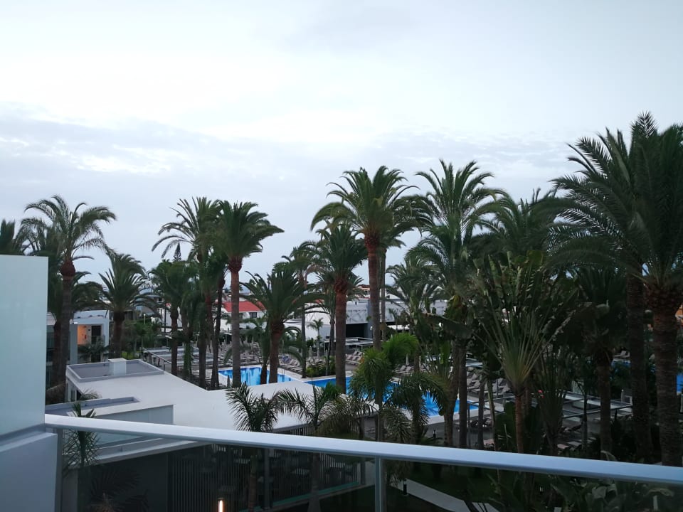 Ausblick Hotel Riu Palace Palmeras