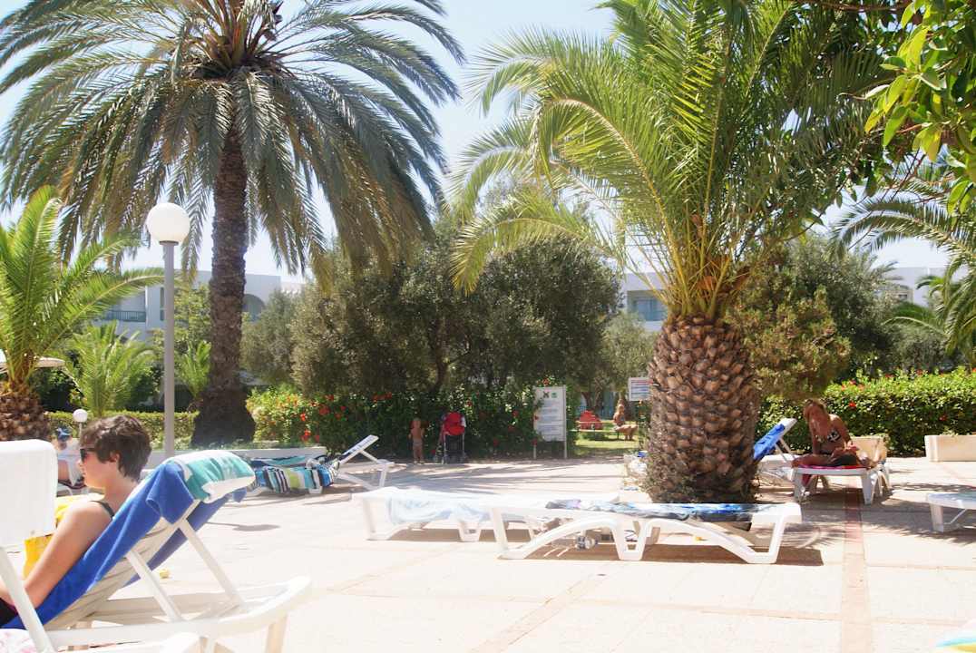  Poolanlage El Mouradi Club Kantaoui