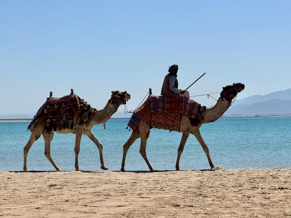 Strand Hotel Sheraton Soma Bay Resort