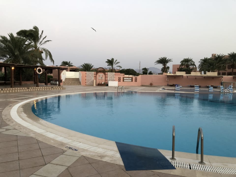 Pool Eagles Paradise Abu Soma