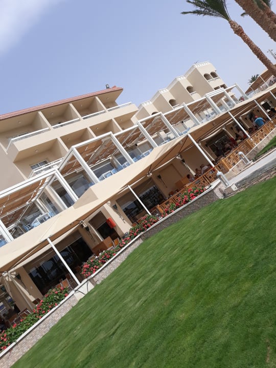 Lobby Beach Albatros Resort
