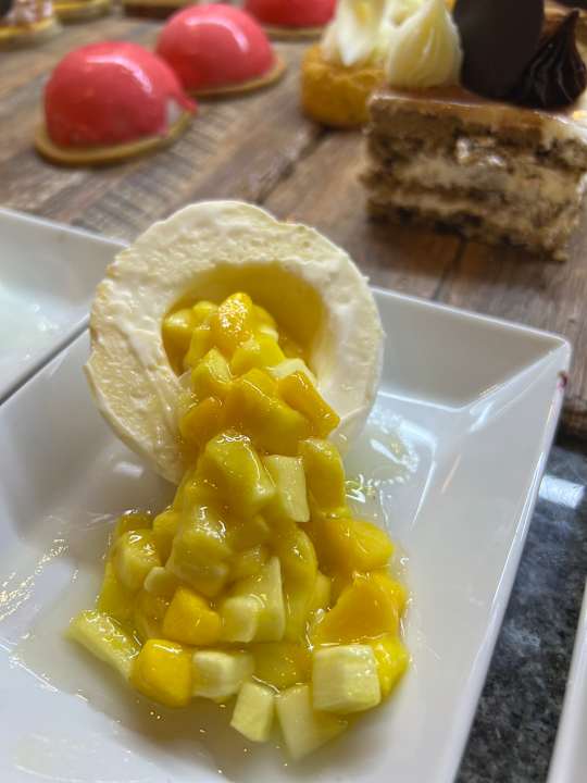 Gastro JAZ Elite Amara