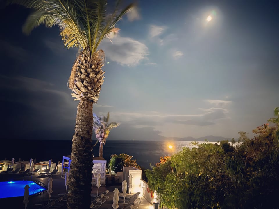 Zimmer Dimitra Beach Hotel & Suites
