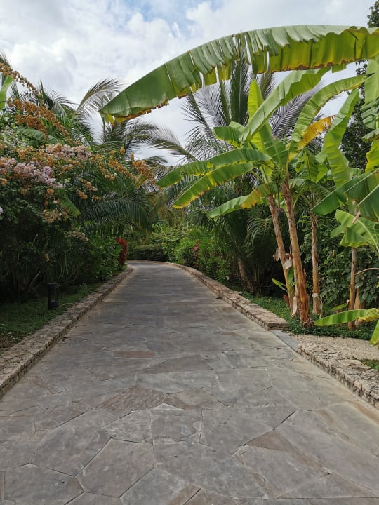 Gartenanlage Zuri Zanzibar Hotel & Resort