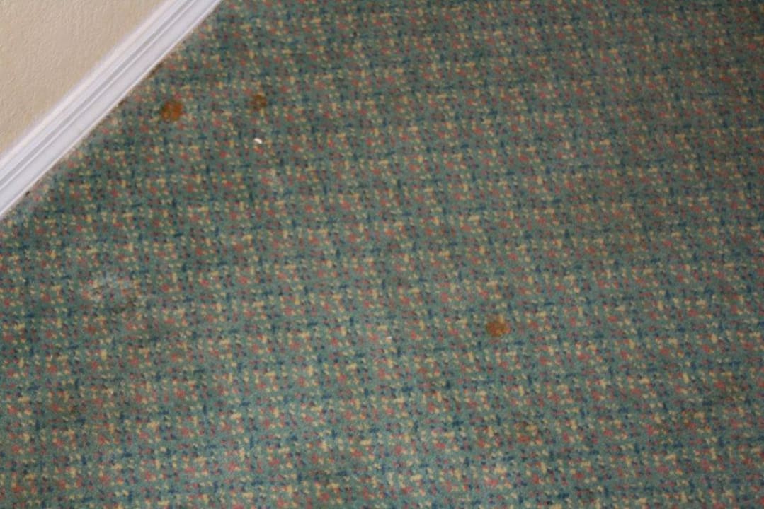 Teppich stark verschmutzt Oak Plantation Resort