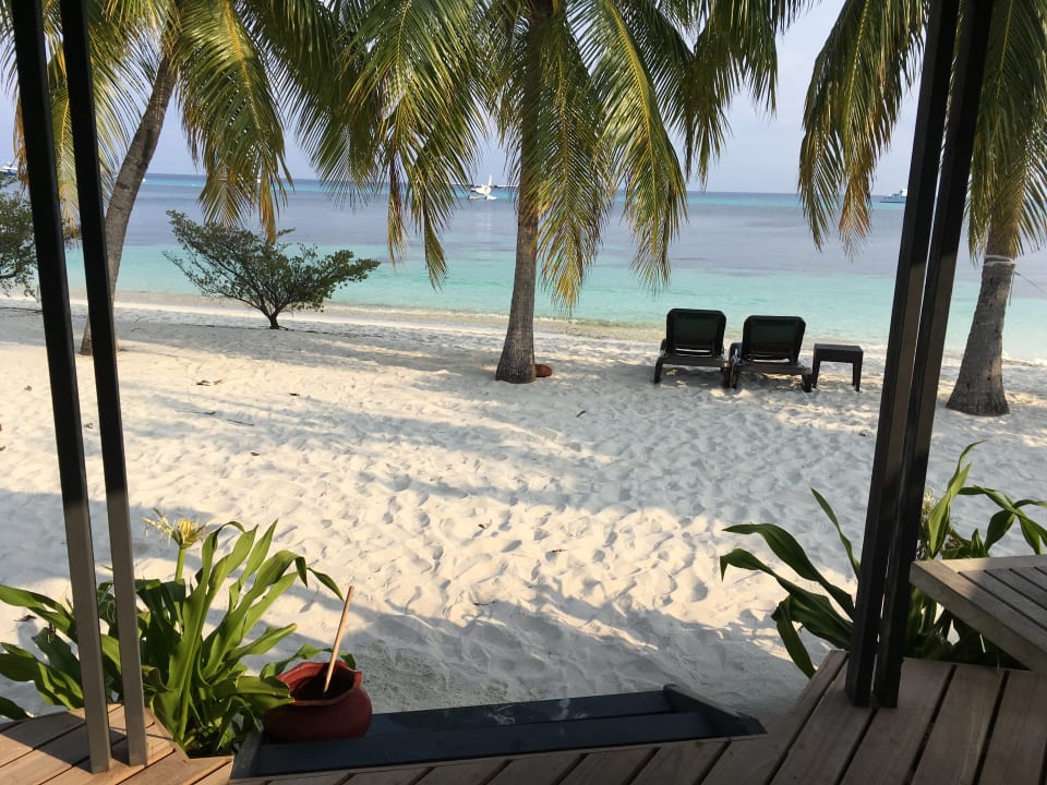 Zimmer Kuredu Island Resort & Spa
