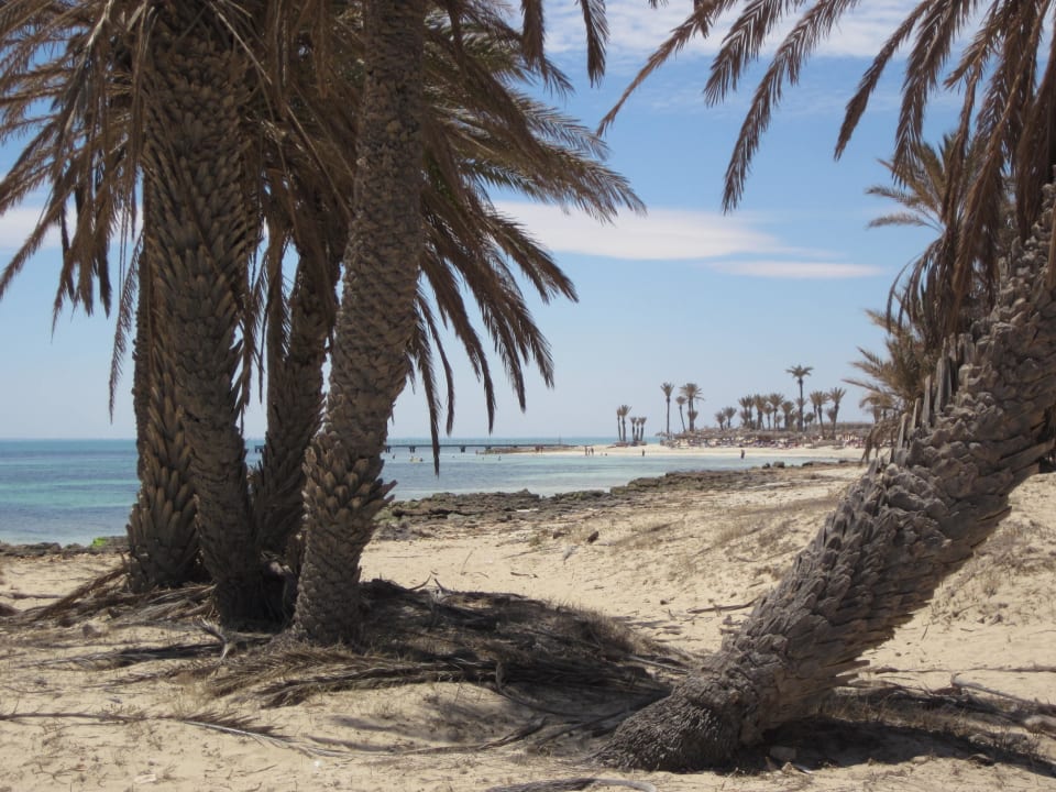 En revenant de la lagune Hotel El Mouradi Djerba Menzel