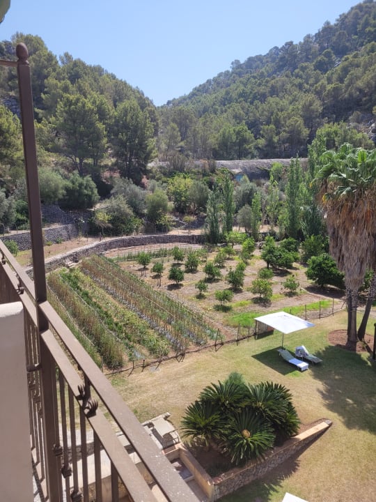 Gastro Hotel Es Port