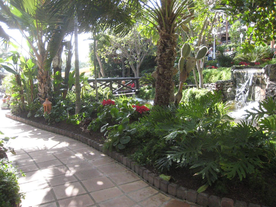 Mit Brücke über Bachlauf Hotel Parque Tropical