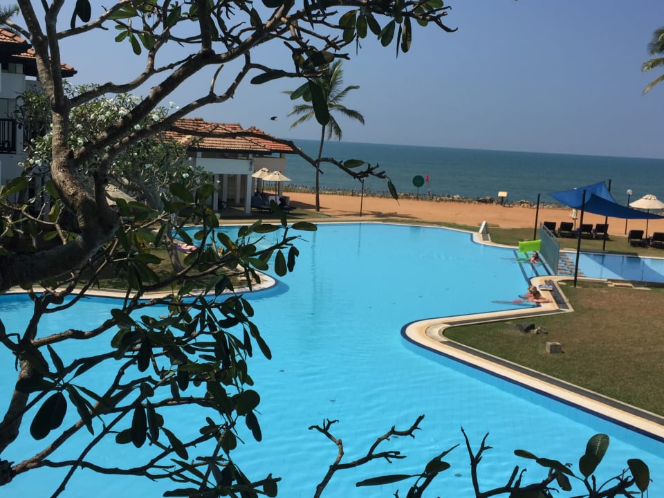 Pool Club Hotel Dolphin