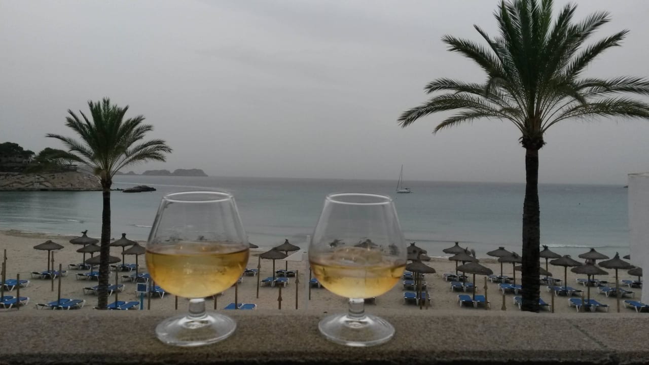 Terrassenausblick mit Vodka-Karamel Pension Maria Eugenia