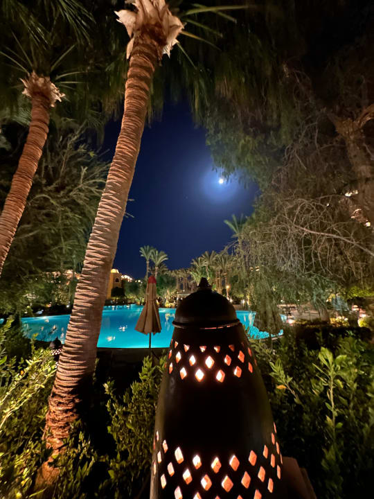 Gartenanlage Makadi Palace