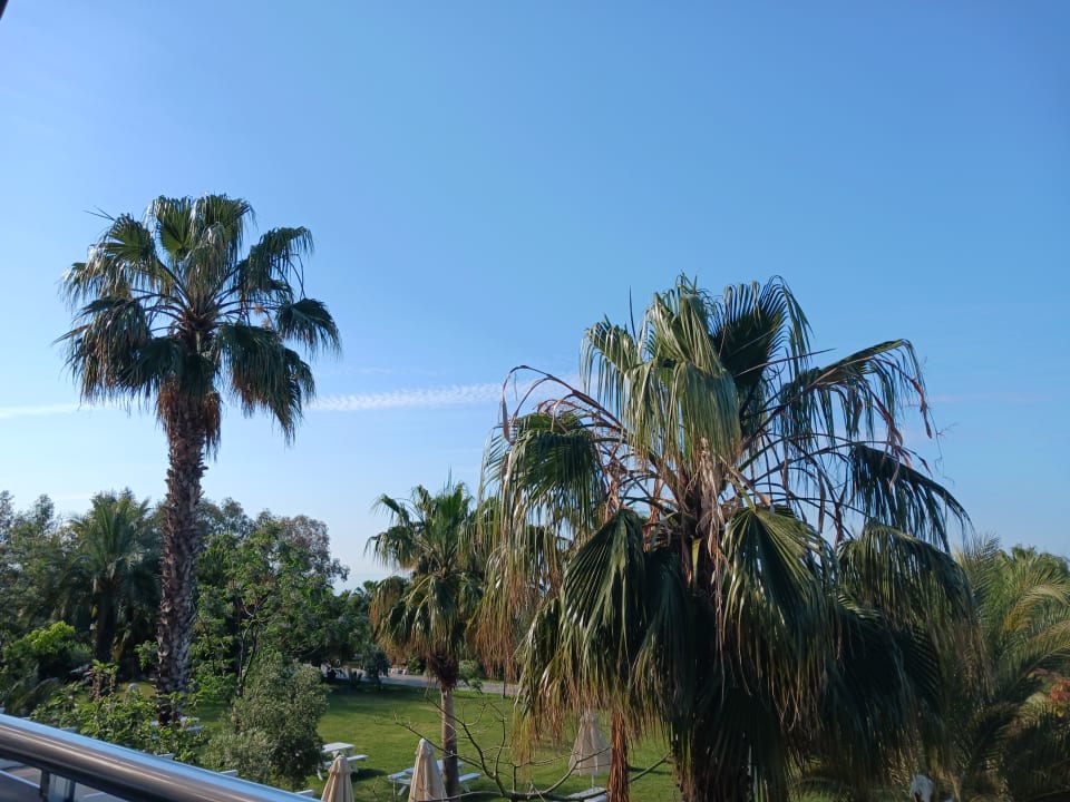 Gartenanlage Seaden Sea Planet Resort & Spa