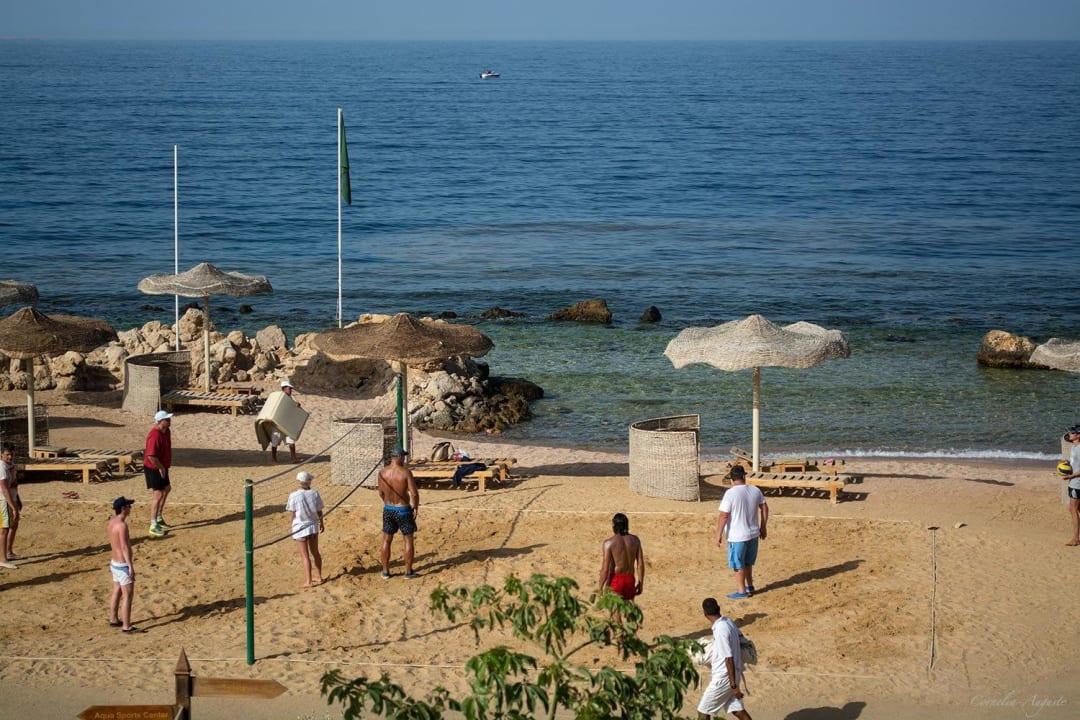 Freizeitspass am Strand Pickalbatros Citadel Resort