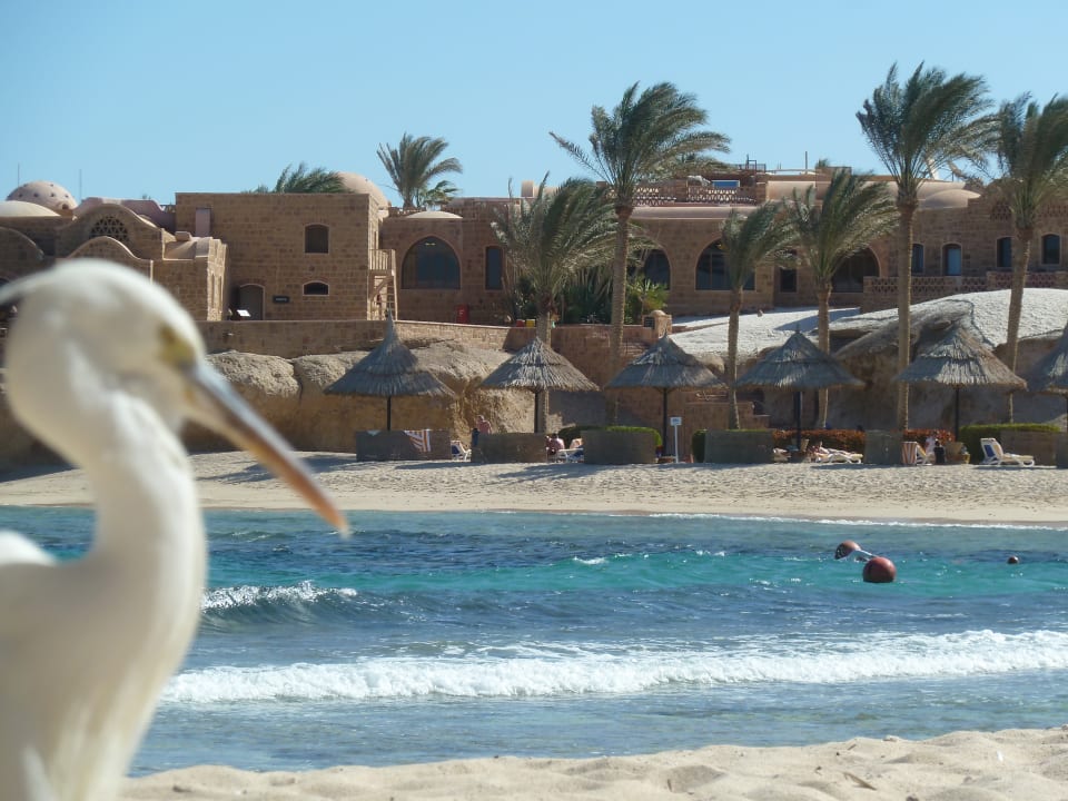 Strand Mövenpick Resort El Quseir