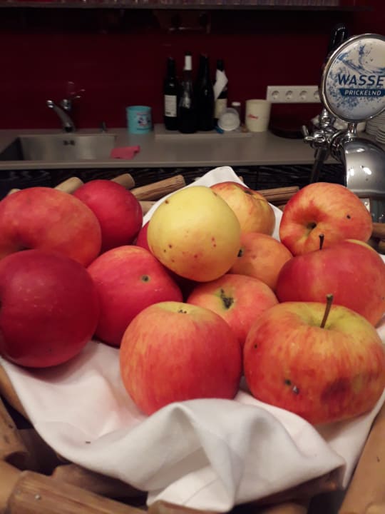 Gastro Hotel Hubertus