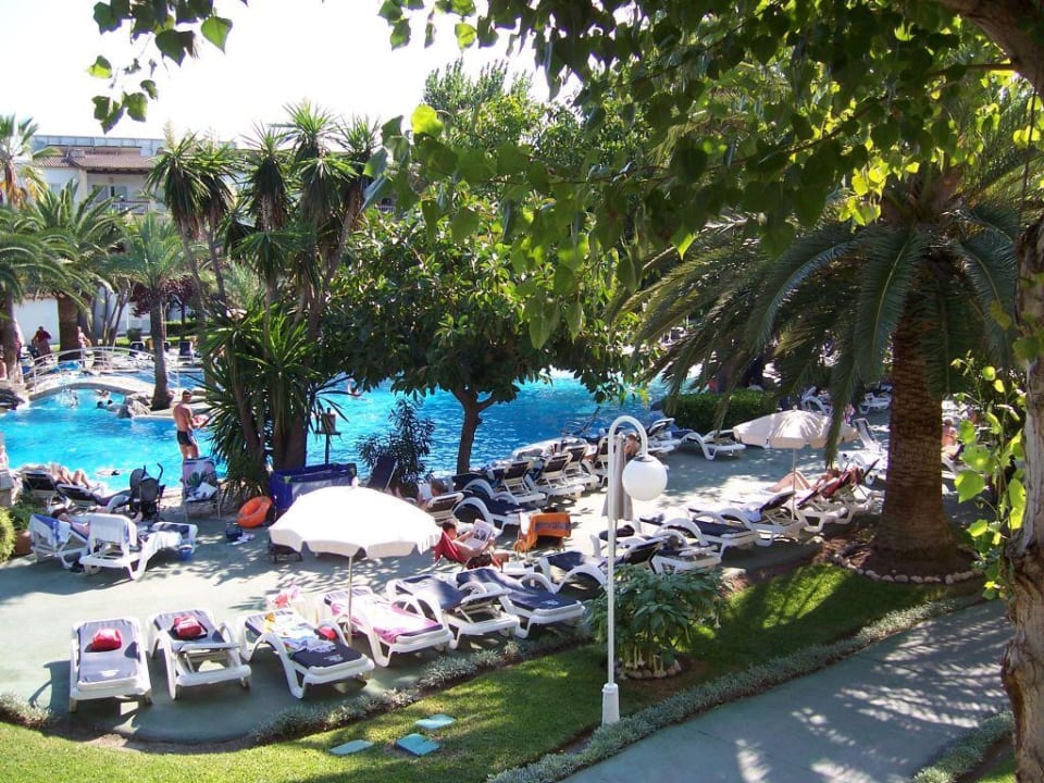 Liegen und Pool Alcudia Garden Aparthotel
