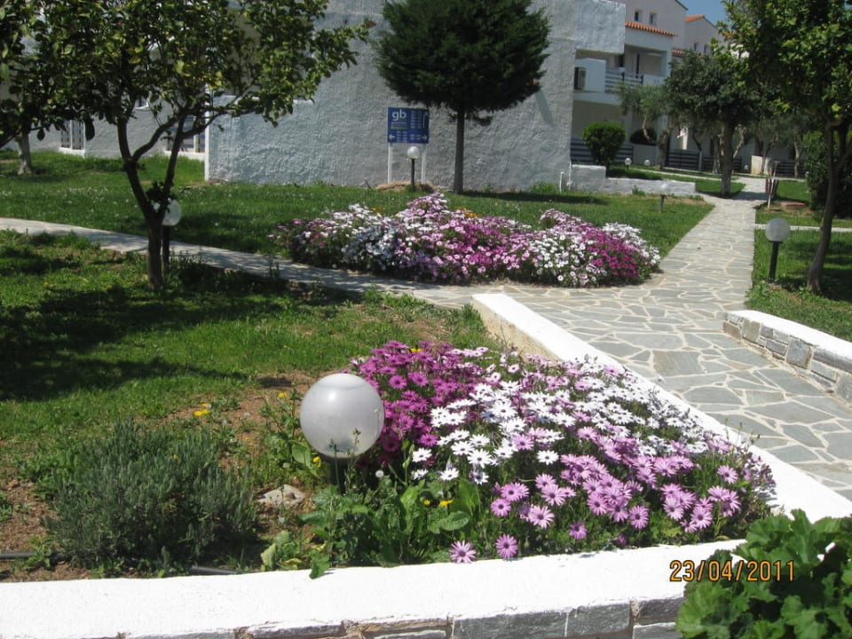 Gartenbereich & Bungalows Brown Beach Eretria