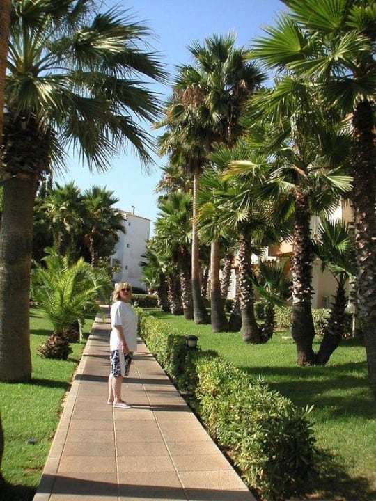 Recht schön gemacht Hipotels Mediterraneo Club