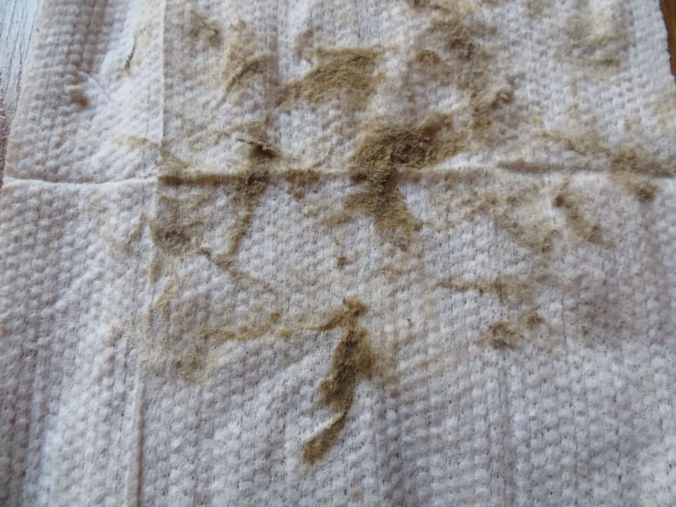 Nach der täglichen Reinigung Grand Makadi