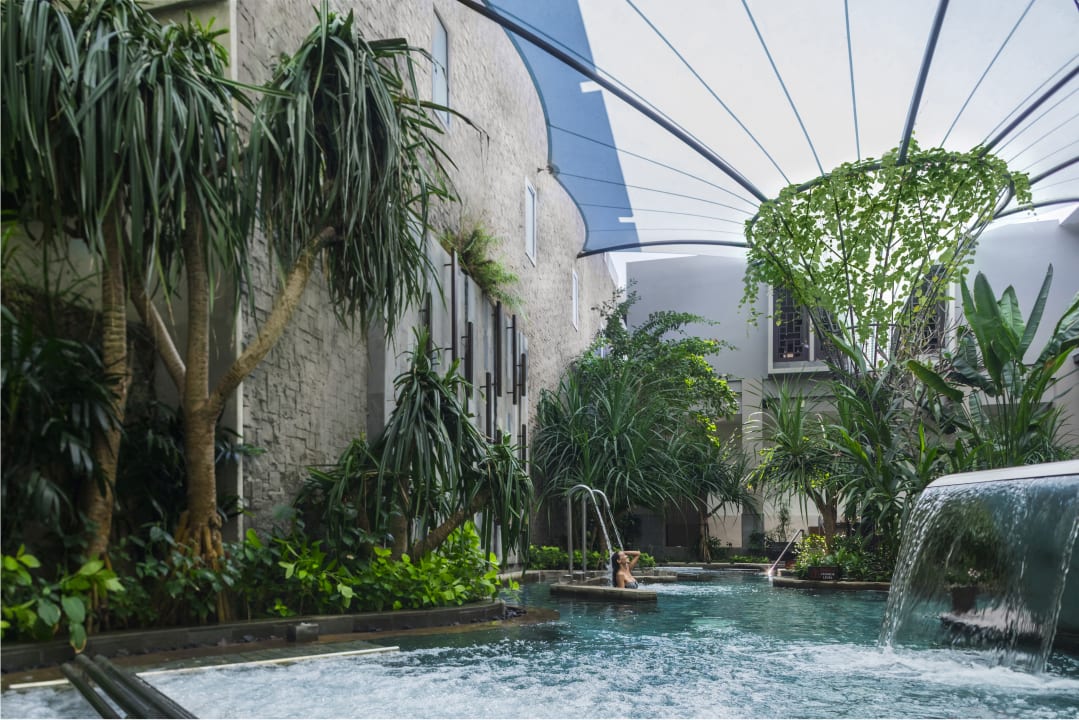 Pool The Ritz-Carlton Bali