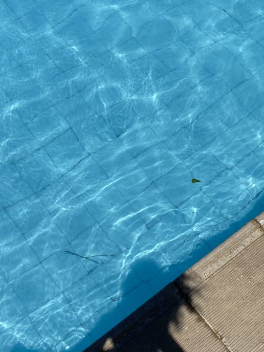 Pool Regina Resort and Aqua Park Hurghada