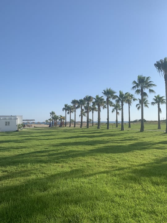 Gartenanlage Delfina Tropic Beach