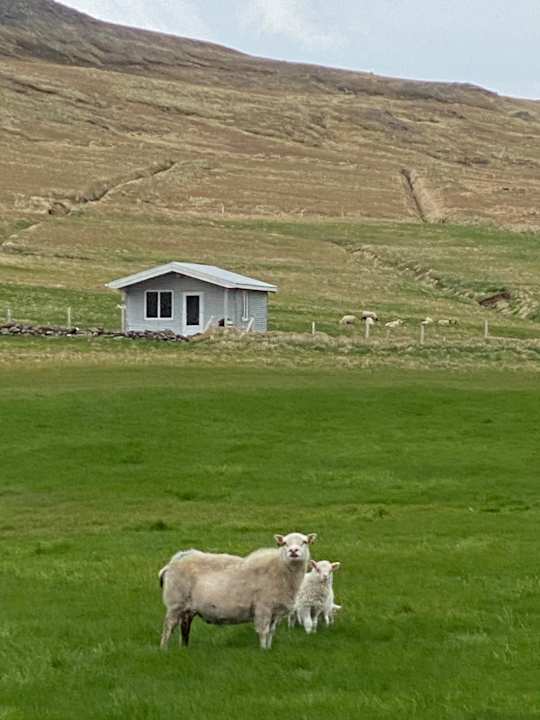Außenansicht Guesthouse Urdartindur