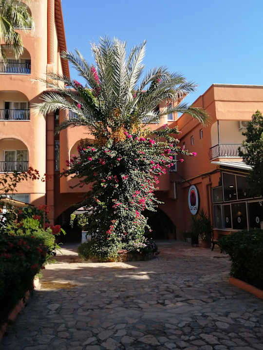 Gartenanlage Club Turtas Beach Hotel