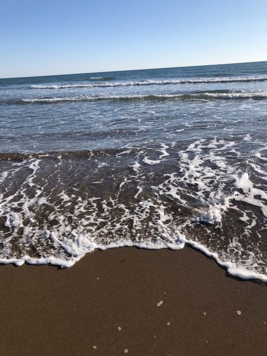 Strand Aydinbey Kings Palace & Spa