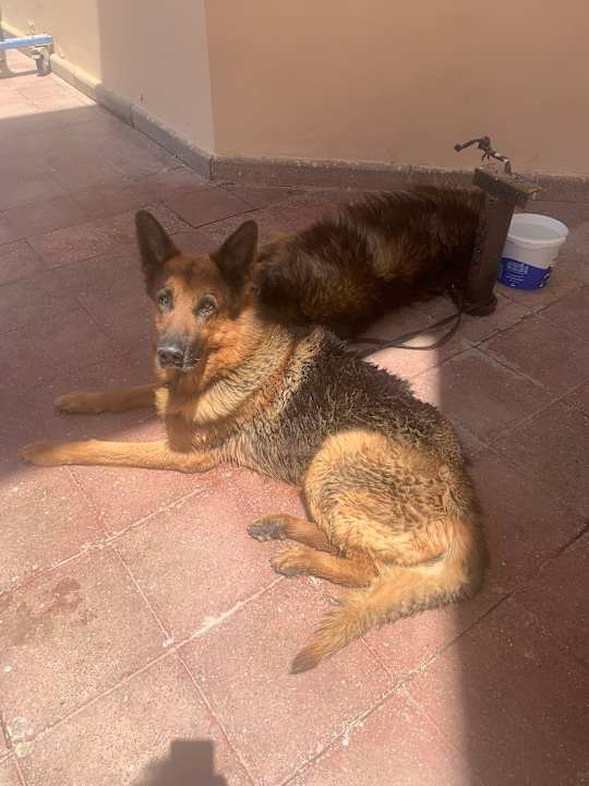 Sonstiges Marriott Hurghada Beach Resort