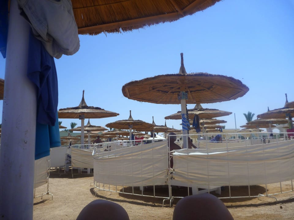 Alles superschön gepflegt Pickalbatros Dana Beach Resort - Hurghada