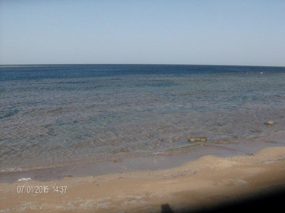Hausriff Coral Sun Beach