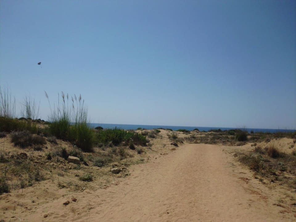 Weg zum Strand Roma Beach Resort & Spa 16+ Adult Only