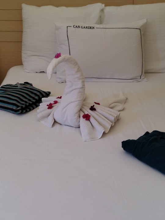 Zimmer Can Garden Beach