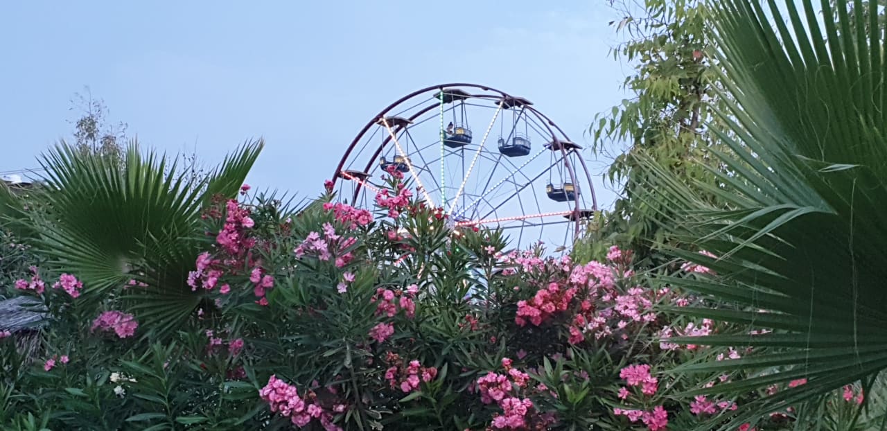 Ausblick Hotel Delphin Imperial