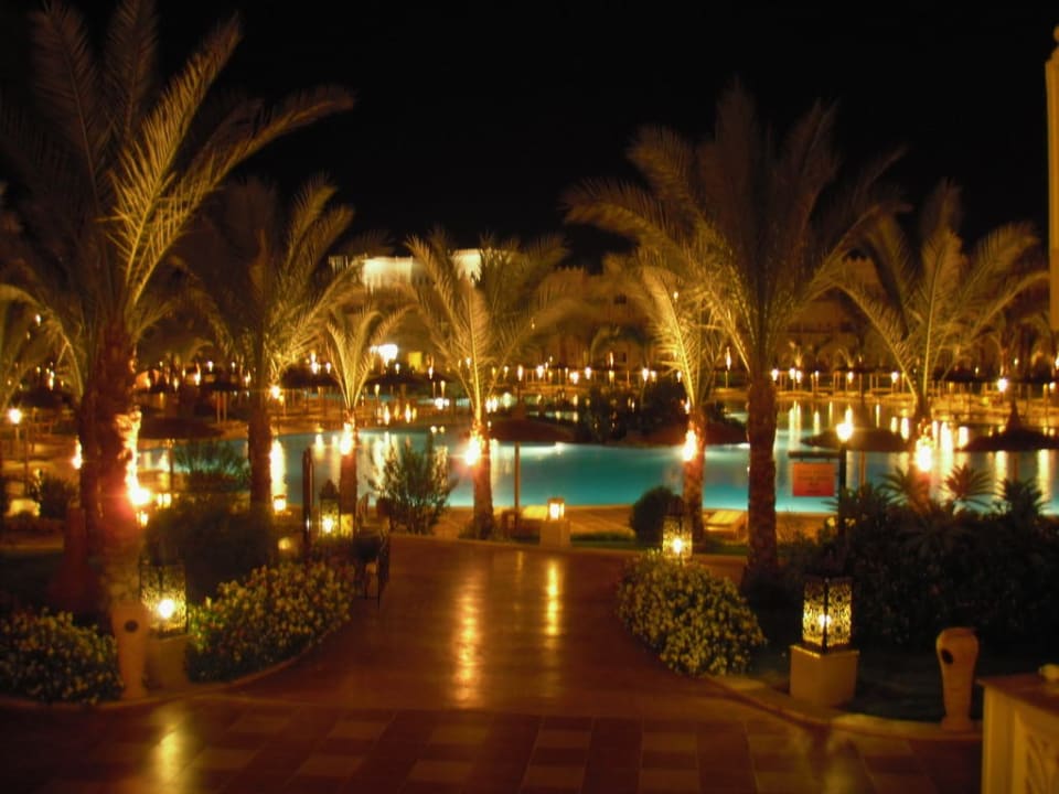 Night Pickalbatros Palace Resort