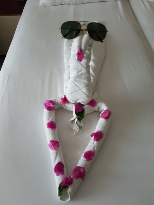 Zimmer Michell Hotel & Spa