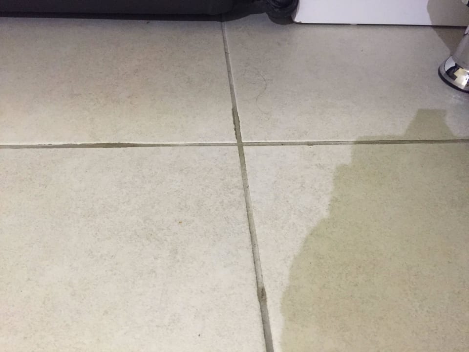 Haare und verklebt AQI Pegasos World