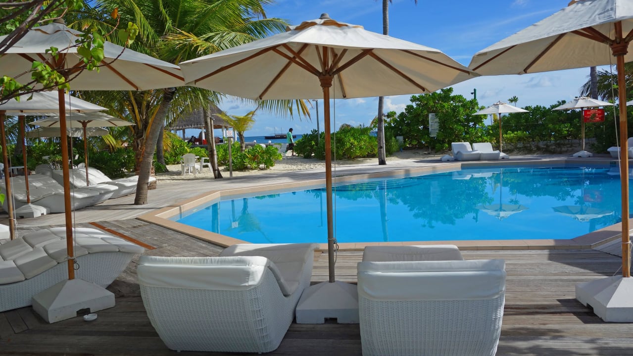 Poolbar Safari Island Maldives