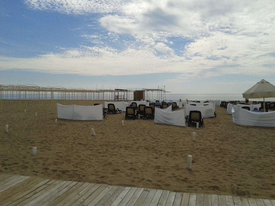 Windschutz - super Sentido Trendy Verbena Beach