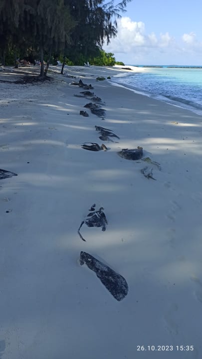 Strand Summer Island Maldives